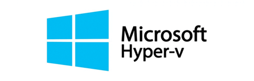 Microsoft Hyper V